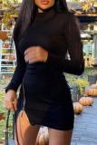 Black Sexy Solid Zipper Half A Turtleneck Pencil Skirt Dresses