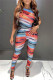 Blue Fashion Casual Print Basic O Neck Short Sleeve Two Pieces
