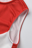 Red Fashion Casual Patchwork Basic O Neck Sleeveless A Line Dresses
