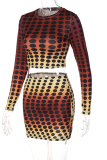 Colour Sexy Print Patchwork O Neck Long Sleeve Two Pieces