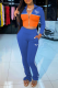 Blue Casual Print Patchwork Zipper Collar Long Sleeve Two Pieces
