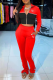 Red Casual Print Patchwork Zipper Collar Long Sleeve Two Pieces