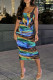 Colour Fashion Sexy Print Backless Fold Asymmetrical U Neck Sleeveless Two Pieces