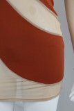 Brown Sexy Solid Patchwork See-through Half A Turtleneck One Step Skirt Dresses