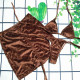 Coffee Fashion Sexy Letter Patchwork Swimwears