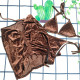 Brown Fashion Sexy Letter Patchwork Swimwears