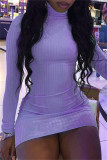 Purple Fashion Casual Solid Basic Turtleneck Long Sleeve Dresses