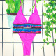 Pink Fashion Sexy Solid Patchwork Swimwears