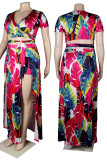 Red Blue Sexy Print Patchwork V Neck Short Sleeve Two Pieces
