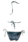 Blue Sexy Party Print Patchwork Swimwears