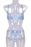 Baby Blue Fashion Sexy Embroidery See-through Backless Lingerie