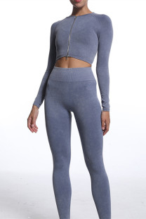Blue Gray Casual Sportswear Solid Patchwork Zipper Long Sleeve Top And Trousers Two Piece Set