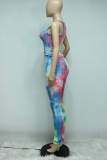 Pink Yellow Sexy Patchwork Split Joint O Neck Sleeveless Two Pieces