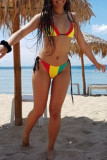 Multicolor Fashion Sexy Patchwork Frenulum Backless Swimwears