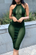Ink Green Sexy Solid Mesh Halter Pencil Skirt Dresses