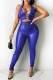 Blue Fashion Sexy Solid Hollowed Out Backless Halter Sleeveless Two Pieces