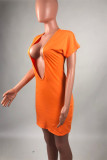 Light Gray Sexy Casual Solid Basic V Neck Short Sleeve Dress