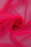 Rose Red Fashion Sexy Solid Backless Swimwears Three-piece Set