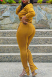 Ginger Fashion Casual Solid Basic O Neck Long Sleeve Two Pieces