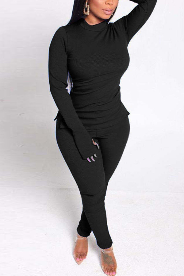 Black Casual Solid Basic Half A Turtleneck Long Sleeve Two Pieces