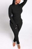 Purple Casual Solid Basic Half A Turtleneck Long Sleeve Two Pieces