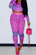 Pink Fashion Casual Print Basic O Neck Long Sleeve Two Pieces