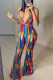 Colour Fashion Sexy Print Backless Halter Regular Jumpsuits