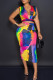 Multi-color Casual Print Patchwork V Neck Sleeveless Two Pieces