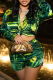 Green Casual Print Patchwork Turndown Collar Long Sleeve Two Pieces