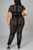 Black Sexy Solid Patchwork See-through O Neck Plus Size Two Pieces
