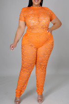Tangerine Red Sexy Solid Patchwork See-through O Neck Plus Size Two Pieces