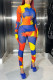 Multi-color Sexy Print Patchwork See-through Half A Turtleneck Regular Jumpsuits (Including Gloves)