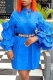 Blue Casual Solid Flounce Turndown Collar Straight Dresses
