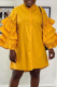 Yellow Casual Solid Flounce Turndown Collar Straight Dresses