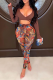 Coffee Sexy Print Patchwork V Neck Long Sleeve Two Pieces