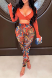 Coffee Sexy Print Patchwork V Neck Long Sleeve Two Pieces