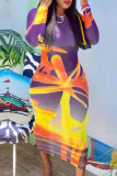 Multicolor Fashion Casual Print See-through O Neck Long Sleeve Dresses