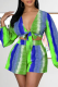 Turquoise Casual Print Patchwork V Neck Long Sleeve Two Pieces