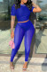 Royal Blue Sexy Solid Patchwork See-through O Neck Short Sleeve Two Pieces