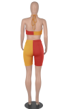 Turquoise Sexy Solid Patchwork Halter Sleeveless Two Pieces