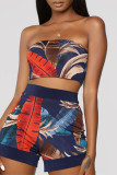 Blue Fashion Casual Print Basic Long Sleeve Two Pieces