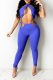 Blue Sexy Solid Patchwork Halter Sleeveless Two Pieces