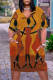 Brown Casual Street Print Patchwork V Neck Straight Dresses