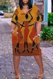 Colour Casual Street Print Patchwork V Neck Straight Dresses