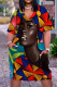 Multicolor Casual Street Print Patchwork V Neck Straight Dresses
