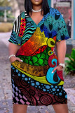 Colour Casual Street Print Patchwork V Neck Straight Dresses