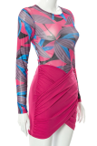 Rose Red Sexy Print Patchwork O Neck Long Sleeve Two Pieces