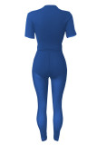 Blue Sexy Solid Patchwork See-through O Neck Short Sleeve Two Pieces