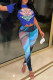 Blue Fashion Casual Print Basic O Neck Short Sleeve Two Pieces