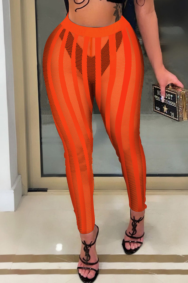 Tangerine Sexy Striped Print Patchwork See-through High Waist Pencil Solid Color Bottoms